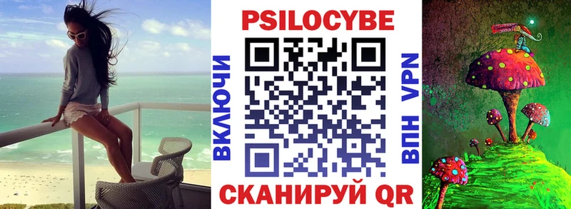 закладка  Лабинск  Галлюциногенные грибы мицелий 